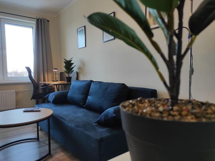 ***Santorini Apartament*** - 40M² ✓ 리브니크 외부 사진